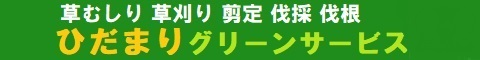 千葉県野田市、埼玉県春日部市、越谷市、草加市、川口市、三郷市、さいたま市のハウスクリーニング店ひだまりおそうじサービス