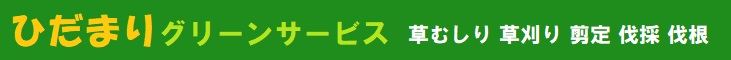 千葉県野田市、埼玉県春日部市、越谷市、草加市、川口市、三郷市、さいたま市のハウスクリーニング店ひだまりおそうじサービス